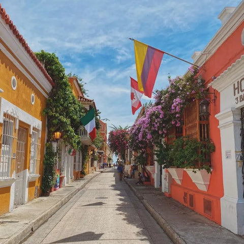 Private Historical Walking Tour - Juan Ballena | Travel Experiences in Cartagena