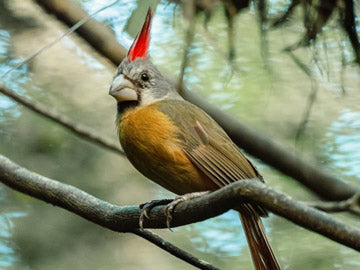 Top Ecotourism Activities in Cartagena