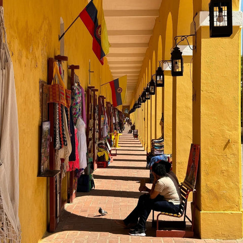 Guided city tour of Cartagena Juan Ballena