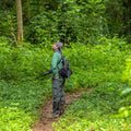 Tropical Dry Forest: The Monkey Howling Trail