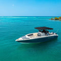 Private boat rental - Juan Ballena