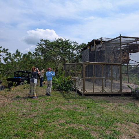 Fundacion Loros-and-macaws-sanctuary-cartagena