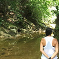 Tropical Dry Forest: The Monkey Howling Trail