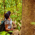 Tropical Dry Forest: The Howling Trail – Eco-Adventure in Cartagena