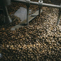 Workshop for Coffee Lovers in Cartagena - Juan Ballena