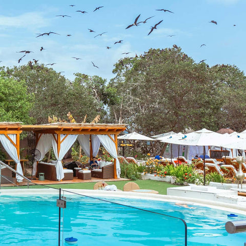 Piscina de borda infinita no Pao Pao Beach Club cercada por coqueiros e cabanas luxuosas.