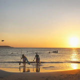Stand-up Paddle Boarding sunset Glow Tour - Juan Ballena | Travel Experiences in Cartagena