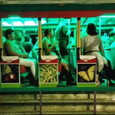 Colorful Chiva bus touring the streets of Cartagena at night