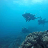Scuba Diving In Baru - Cartagena - Juan Ballena | Travel Experiences in Cartagena